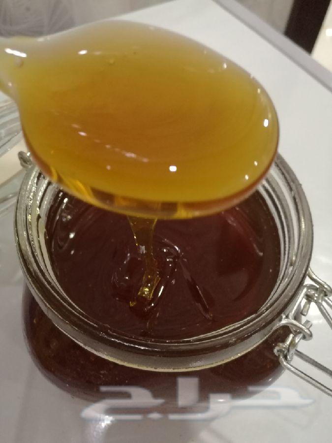 عسل سدر مضمون ومفحوص بمختبر جودة العسل