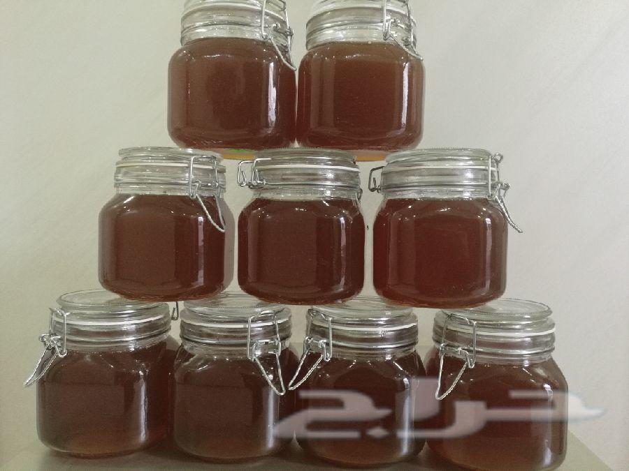 عسل سدر مضمون ومفحوص بمختبر جودة العسل