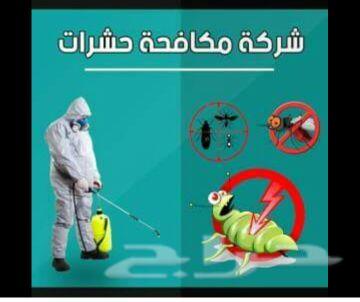 احسن شركة مكافحة حشرات بالمدينة المنورة