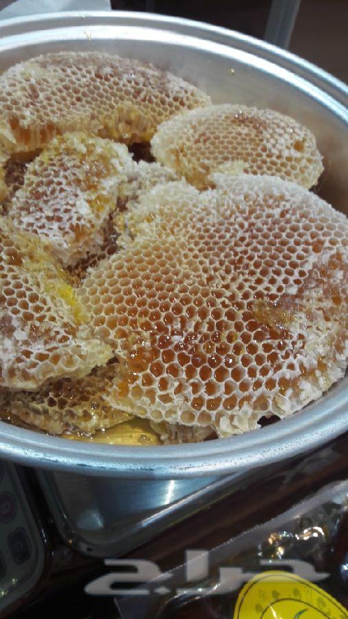 عسل السدر الجبلي وعسل السمره البلدي