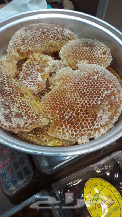 عسل السدر الجبلي وعسل السمره البلدي