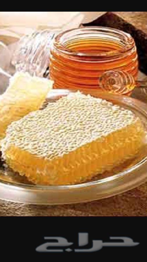 عسل السدر الجبلي وعسل السمره البلدي