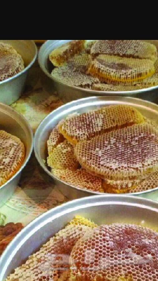 عسل السدر الجبلي وعسل السمره البلدي