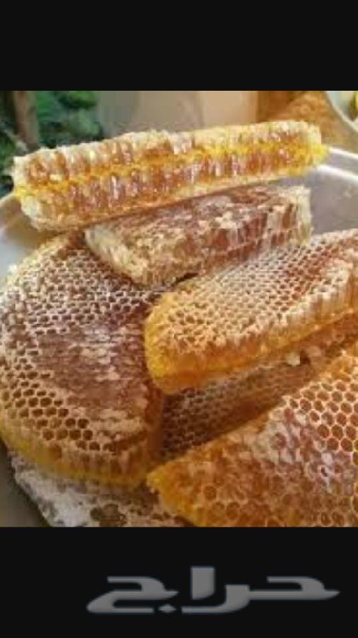 عسل السدر الجبلي وعسل السمره البلدي