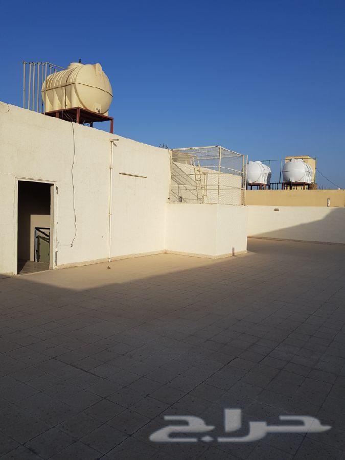 عماره سكنيه 5 شقق مساحتها 625متر بالملك فهد