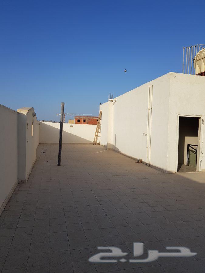 عماره سكنيه 5 شقق مساحتها 625متر بالملك فهد