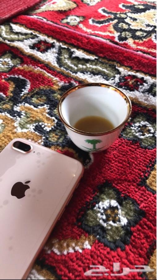 iPhone 8 Plus 256g