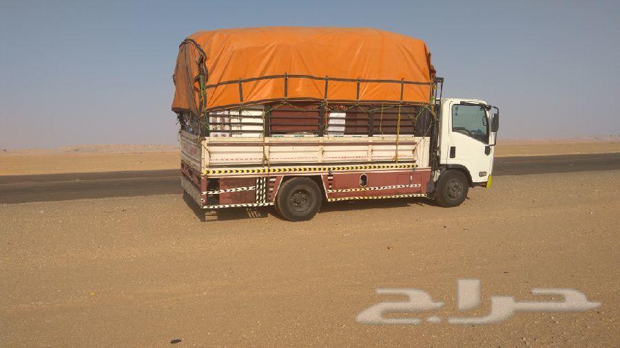 نقل عفش واثاث وبضائع وحلال وكل شي عندك