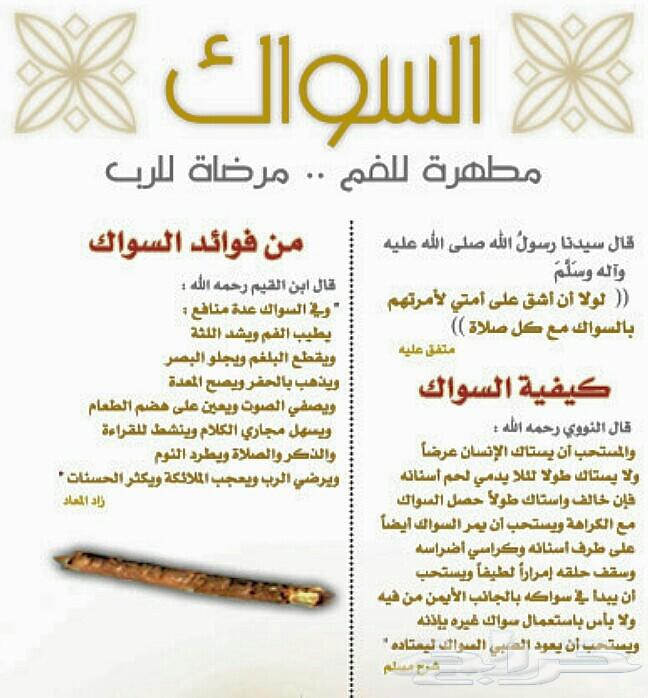 متجر مسواكنا (نوعية ابوحنش) توفير طازج مباشرة