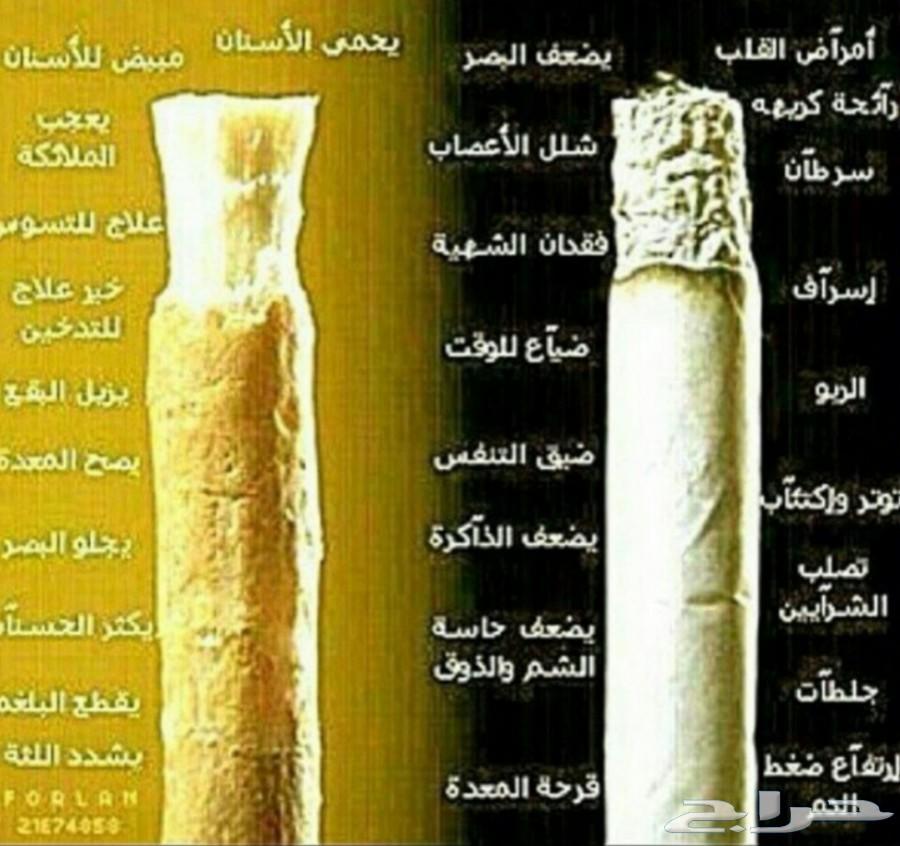 متجر مسواكنا (نوعية ابوحنش) توفير طازج مباشرة