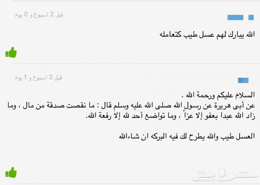 1 عسل أشجار مزارع تبوك - عسل سدر