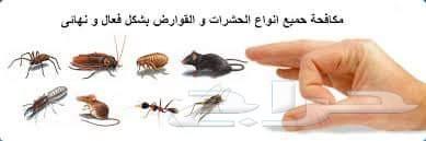 شركة الموده لتنظيف الخزانات ورش جميع الحشرات