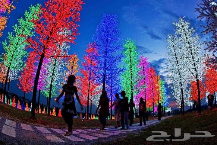 جدول شهر عسل للسياحه فى ماليزيا لمدة 15 يوم