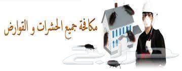 شركة رش مبيدات صراصير فئران نمل بق برص
