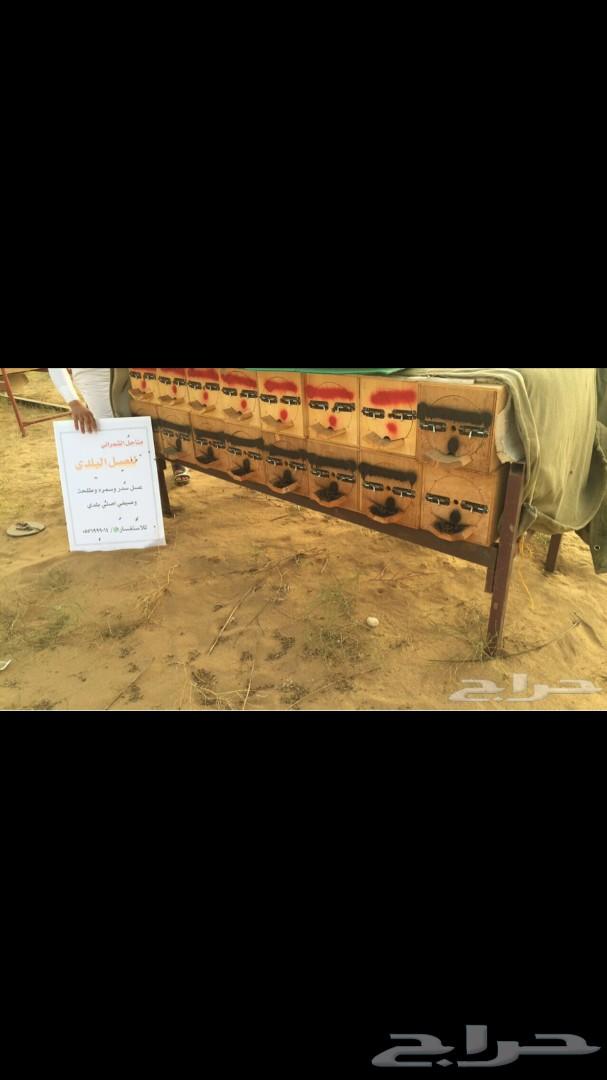 عسل عسل سدر مضمون على الشرط 5الاف اذا اختلف