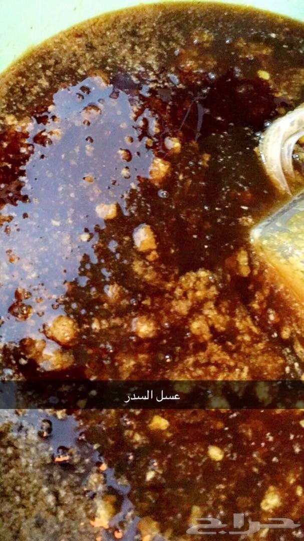 عسل عسل سدر مضمون على الشرط 5الاف اذا اختلف