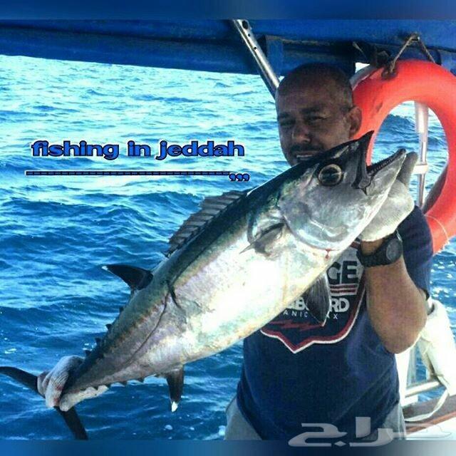 رحلات بحريه درة العروس