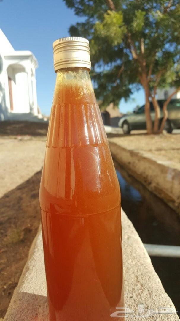 عسل سدر عماني