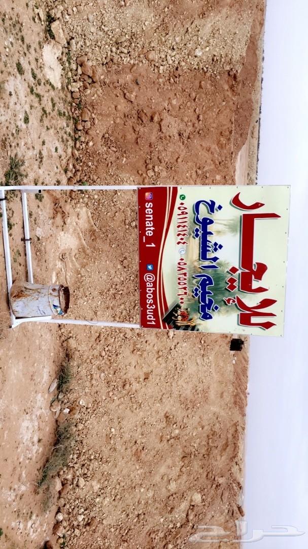 مخيم للإجار شمال الرياض طريق القصيم