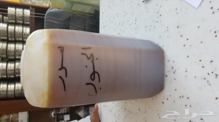 عسل سدر الجنوب ودوعني جديد وأصلي امانه على ال