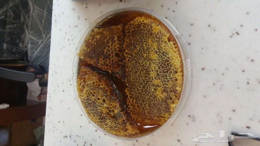 عسل سدر الجنوب ودوعني جديد وأصلي امانه على ال