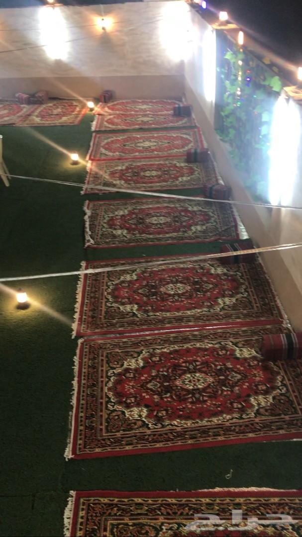 الخروف المشوي ومندي وحنيذ باقل الاسعار