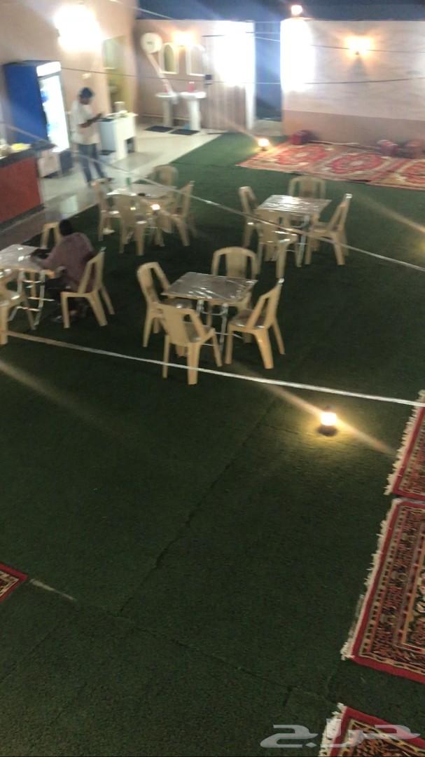 الخروف المشوي ومندي وحنيذ باقل الاسعار