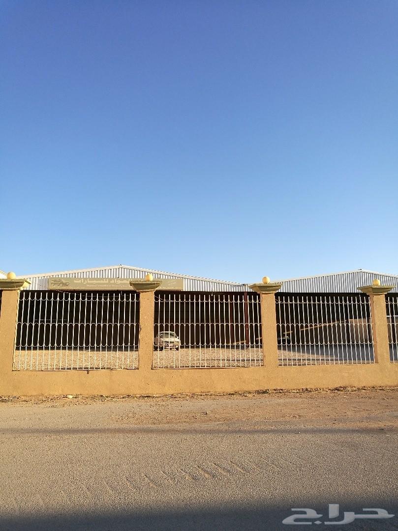 معرض سيارات في عرعر استثمار للبيع