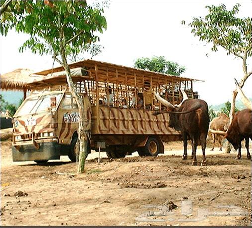 بكدج عائلى سياحى بماليزيا لشخصين وطفل 10 ايام