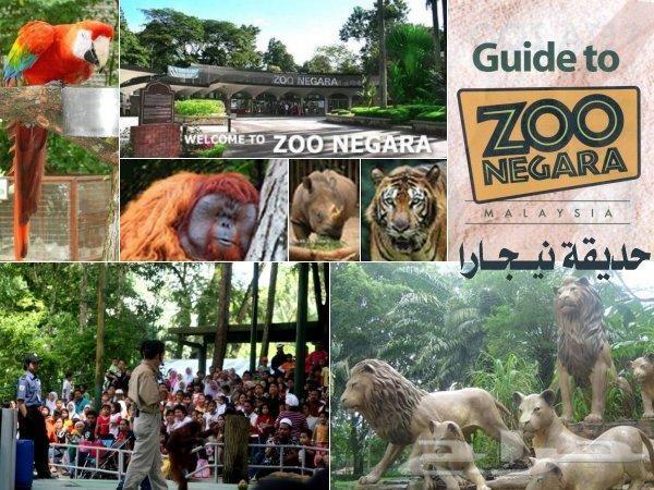 بكدج عائلى سياحى بماليزيا لشخصين وطفل 10 ايام