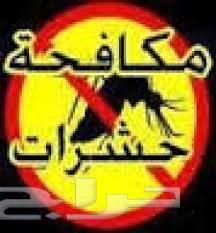 رش مبيدات رش دفان مكافحه حشرات تنظيف خزانات
