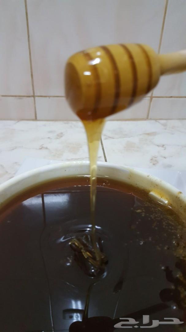 عسل عسل سدر أصلي إنتاج جديد باسعار منافسه