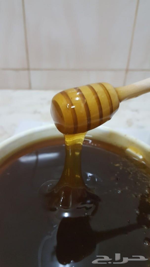 عسل عسل سدر أصلي إنتاج جديد باسعار منافسه