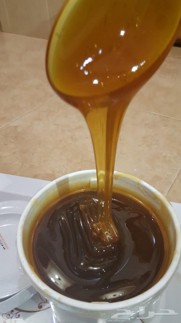 عسل عسل سدر أصلي إنتاج جديد باسعار منافسه