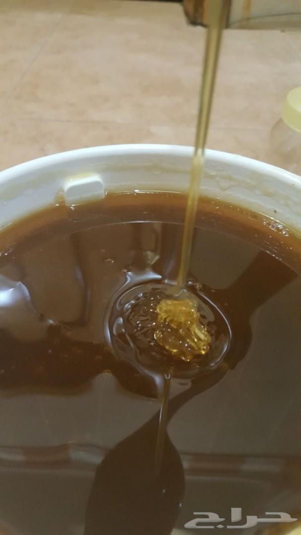 عسل عسل سدر أصلي إنتاج جديد باسعار منافسه