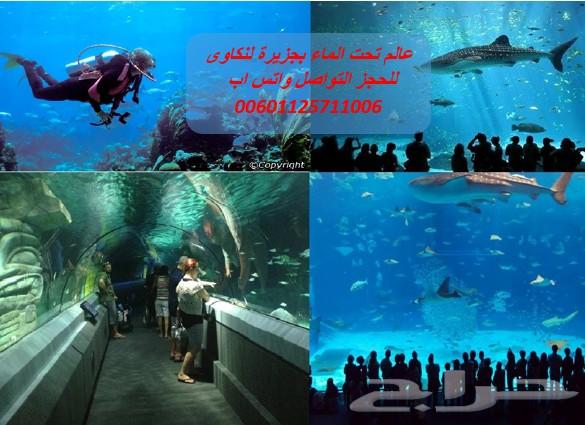 عرض شهر عسل 5نجوم اقتصادى بماليزيا لمدة11 يوم