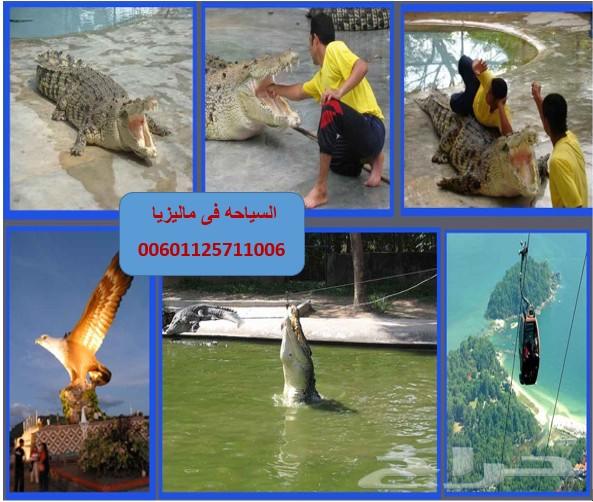 عرض شهر عسل 5نجوم اقتصادى بماليزيا لمدة11 يوم