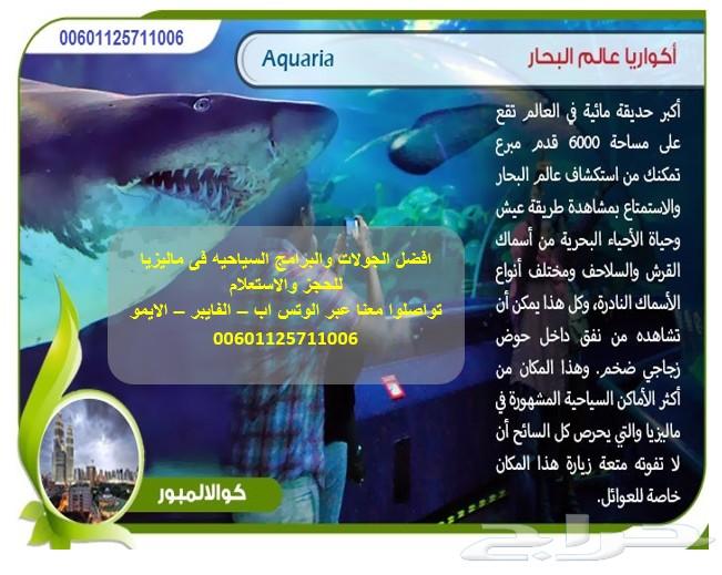 عرض شهر عسل 5نجوم اقتصادى بماليزيا لمدة11 يوم