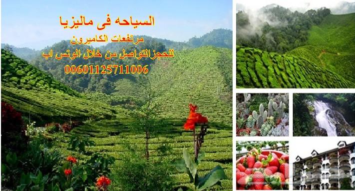 عرض شهر عسل 5نجوم اقتصادى بماليزيا لمدة11 يوم