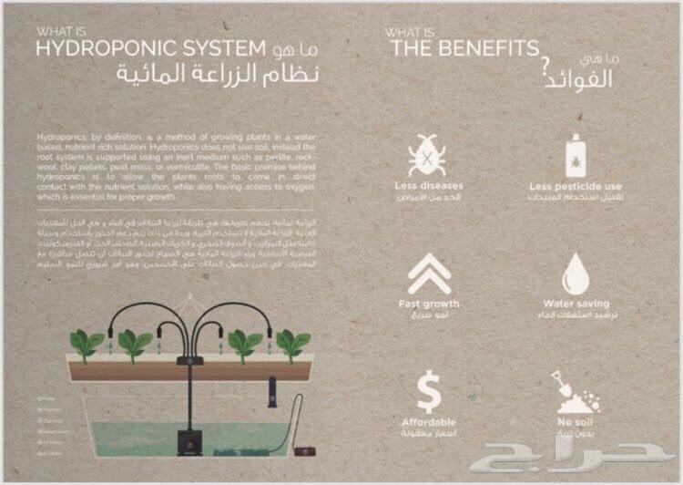 ادفع 1800 درهم شهريا وتملك شقتك في عجمان