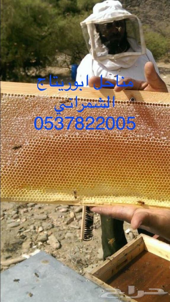 جمعتكم عسل سدر بلدي فاخر