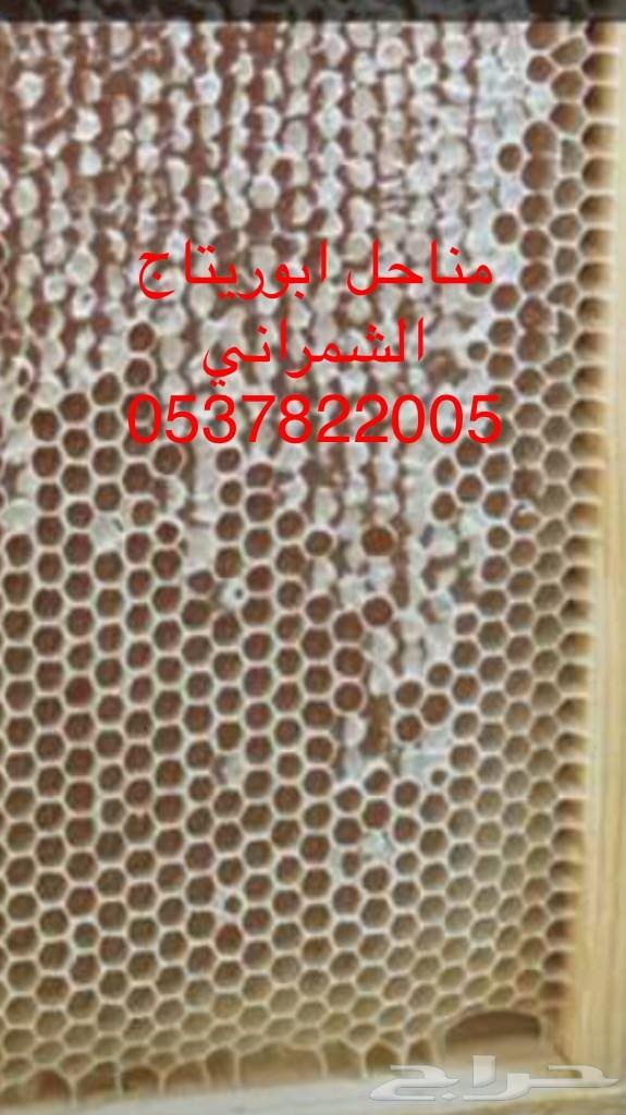 جمعتكم عسل سدر بلدي فاخر