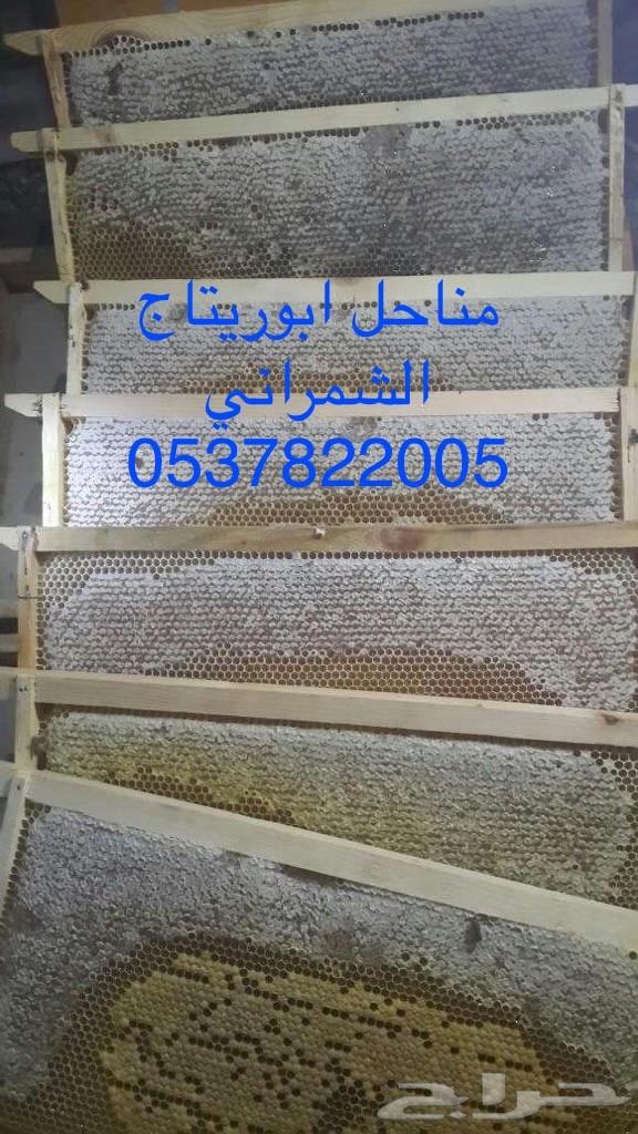 جمعتكم عسل سدر بلدي فاخر