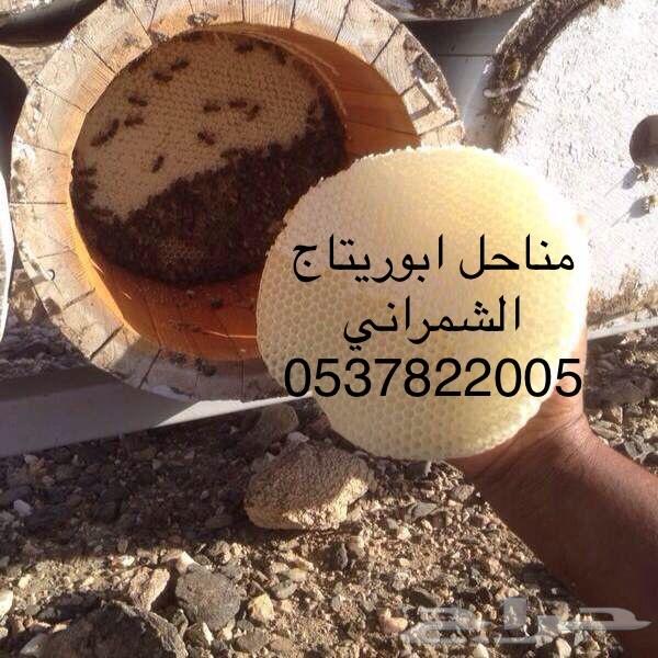 جمعتكم عسل سدر بلدي فاخر