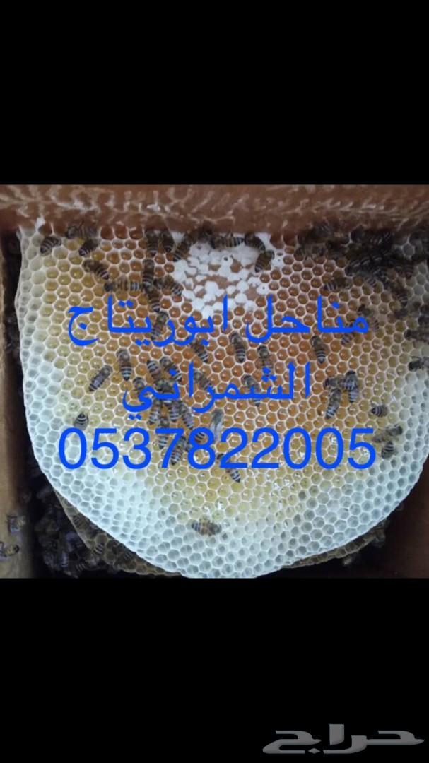 جمعتكم عسل سدر بلدي فاخر