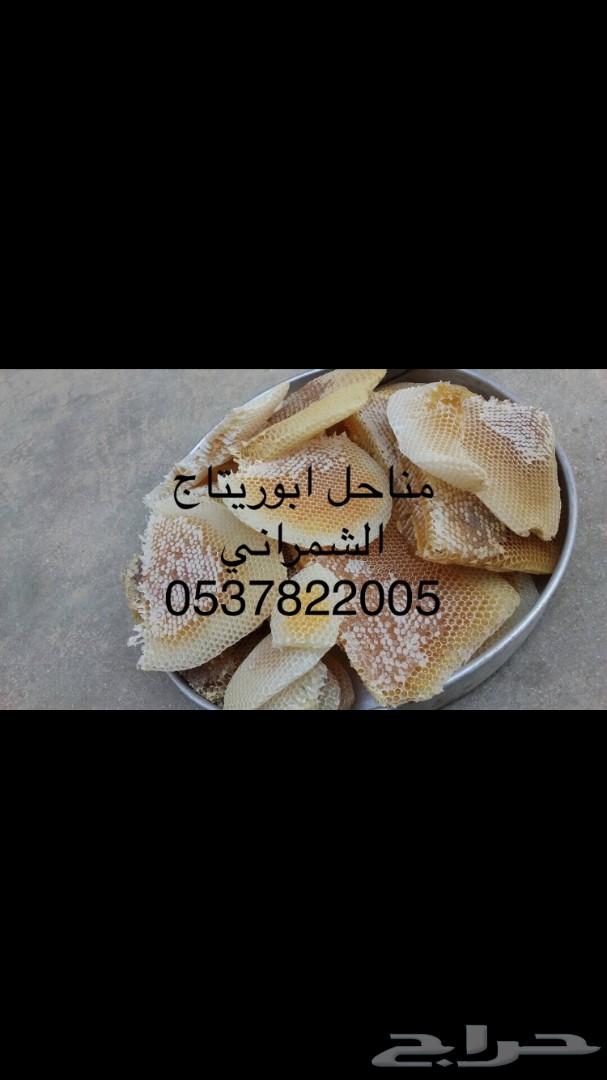 جمعتكم عسل سدر بلدي فاخر