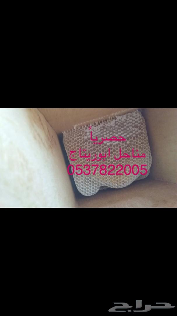 جمعتكم عسل سدر بلدي فاخر