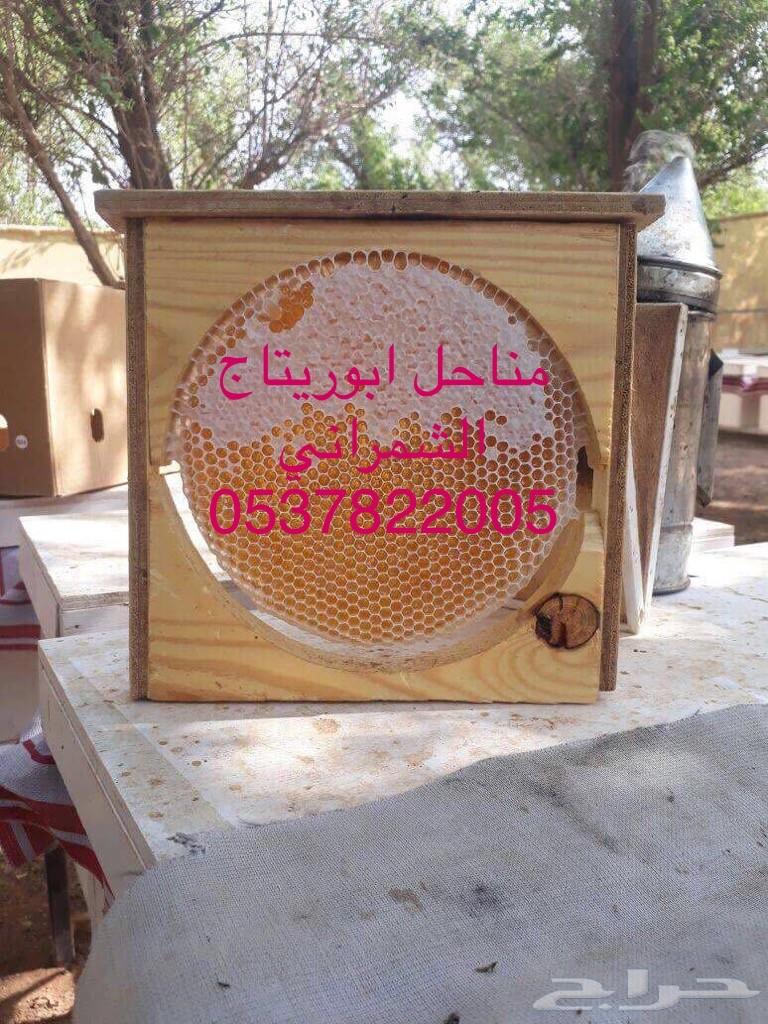 جمعتكم عسل سدر بلدي فاخر