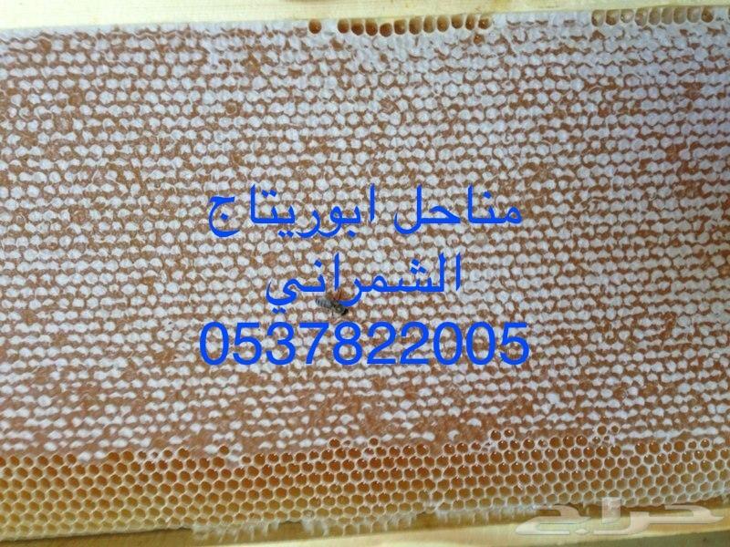 جمعتكم عسل سدر بلدي فاخر