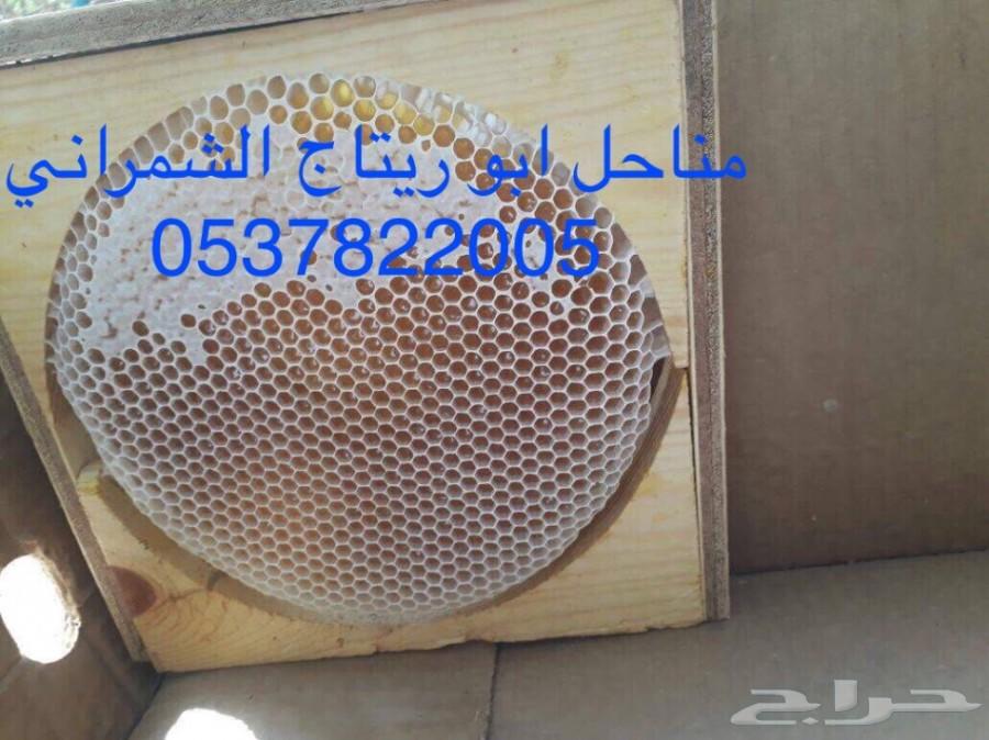 جمعتكم عسل سدر بلدي فاخر